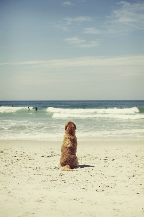 tumblr_m81osfP1rf1qlywlko1_500